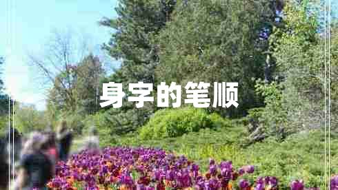 身字的筆順 身字的筆順