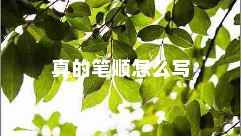 真的筆順怎么寫