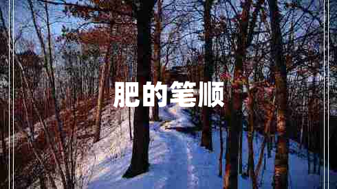 肥的筆順 肥的筆順