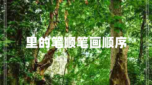 里的筆順筆畫順序