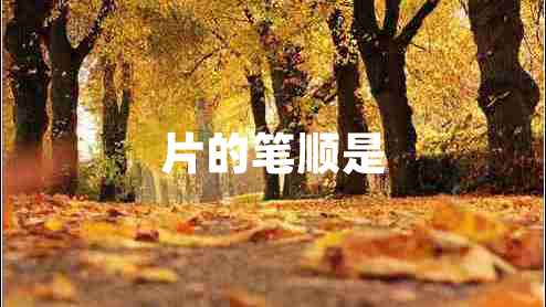 片的筆順是 片的筆順是