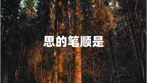 思的筆順是