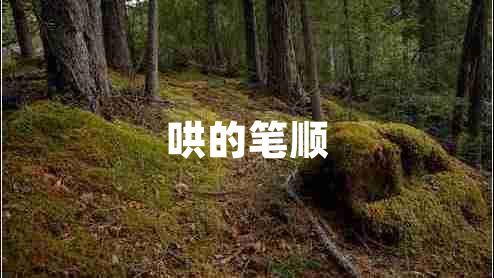 哄的筆順 哄的筆順