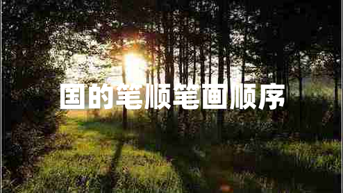 國(guó)的筆順筆畫順序
