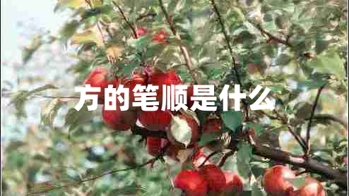 方的筆順是什么