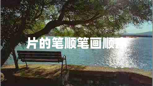 片的筆順筆畫(huà)順序