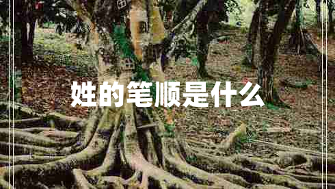 姓的筆順是什么