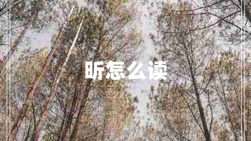 昕怎么讀 昕怎么讀