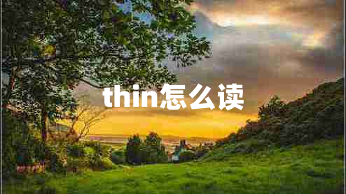 thin怎么讀