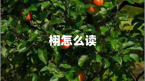 栩怎么讀 栩怎么讀