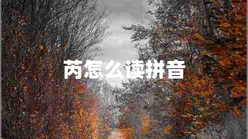 芮怎么讀拼音 芮怎么讀拼音