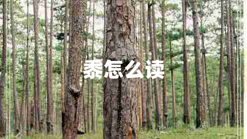 黍怎么讀 黍怎么讀