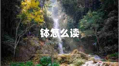 缽怎么讀 缽怎么讀