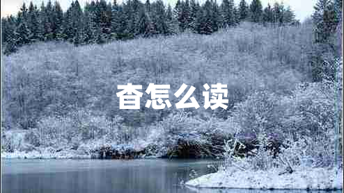 杳怎么讀