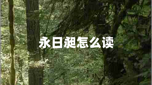 永日昶怎么讀