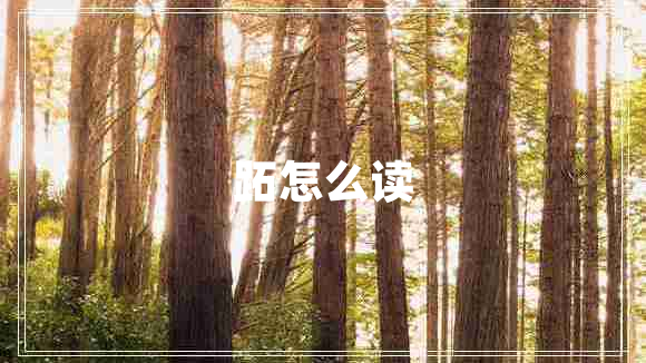 跖怎么讀 跖怎么讀