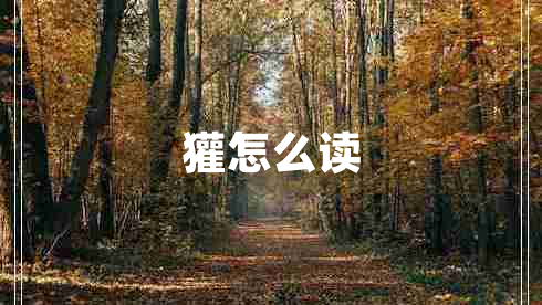 獾怎么讀 獾怎么讀