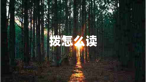 撥怎么讀 撥怎么讀