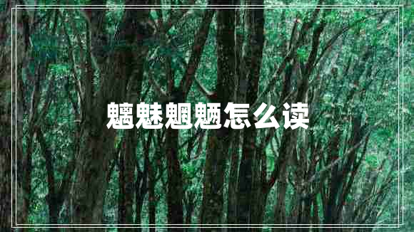 魑魅魍魎怎么讀