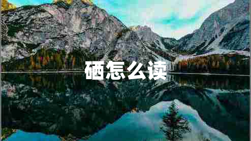 硒怎么讀 硒怎么讀