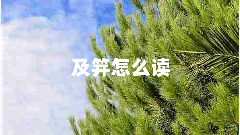 及笄怎么讀 及笄怎么讀