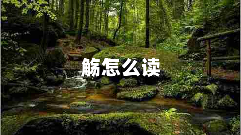 觴怎么讀 觴怎么讀