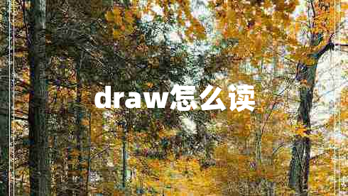 draw怎么讀