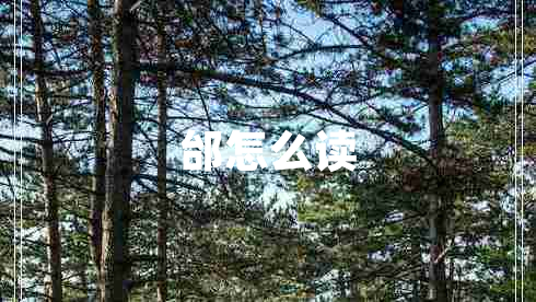 邰怎么讀 邰怎么讀