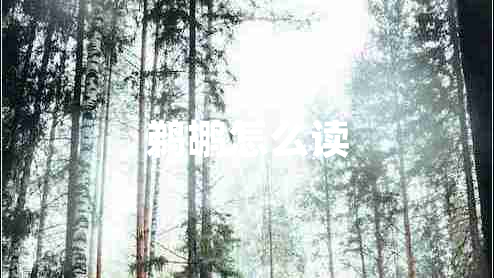 鵜鶘怎么讀 鵜鶘怎么讀