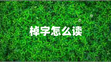 棹字怎么讀