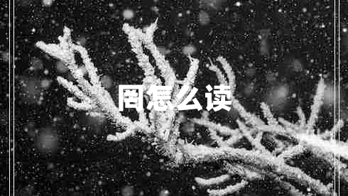 罔怎么讀