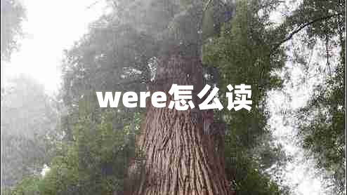 were怎么讀 were怎么讀
