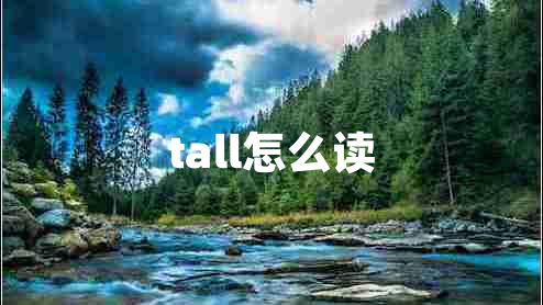 tall怎么讀