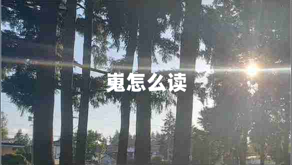 嵬怎么讀 嵬怎么讀