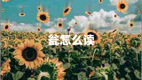 甕怎么讀 甕怎么讀