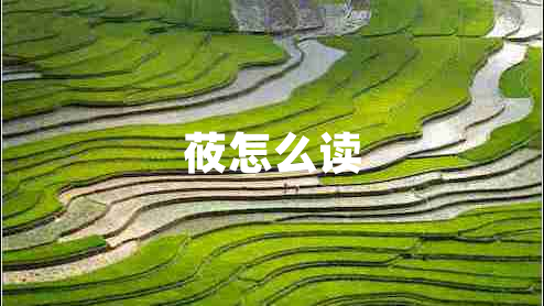 莜怎么讀 莜怎么讀