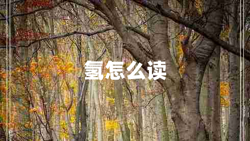 氫怎么讀 氫怎么讀