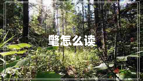 氅怎么讀 氅怎么讀