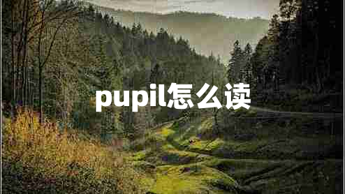 pupil怎么讀 pupil怎么讀