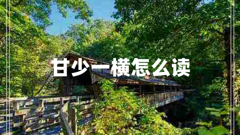 甘少一橫怎么讀