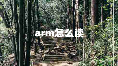 arm怎么讀 arm怎么讀