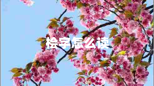 檜字怎么讀
