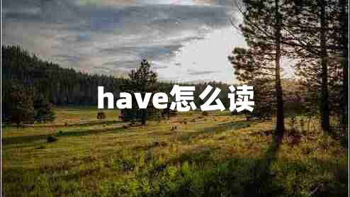 have怎么讀