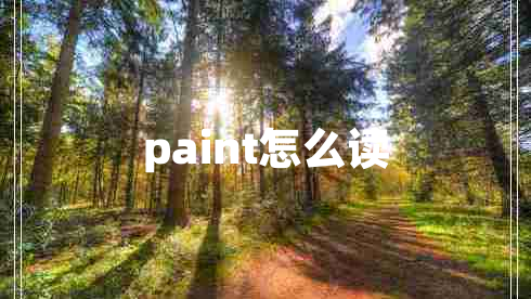 paint怎么讀