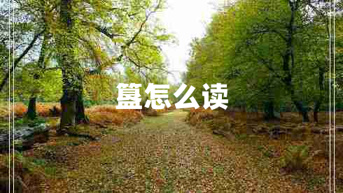 簋怎么讀 簋怎么讀