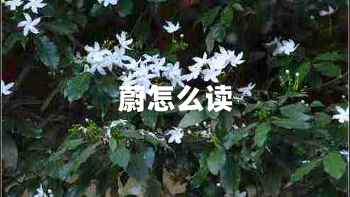 蔚怎么讀 蔚怎么讀