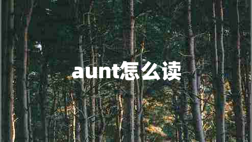 aunt怎么讀