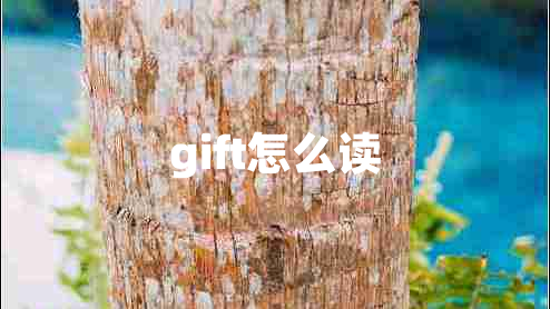 gift怎么讀