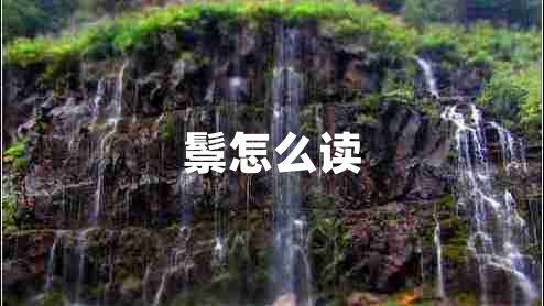 鬃怎么讀 鬃怎么讀