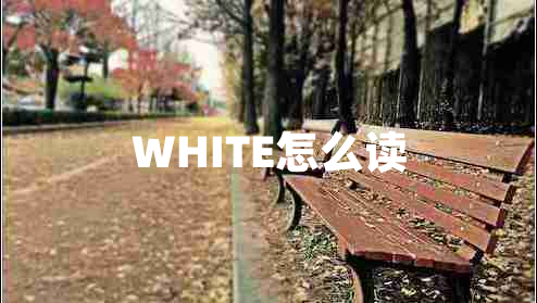 WHITE怎么讀 WHITE怎么讀